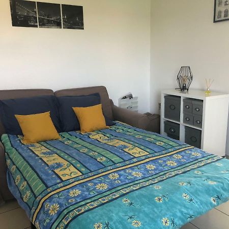 Appartement Au Milieu Des Lacs, Au Bord Du Guiers Aoste Екстер'єр фото