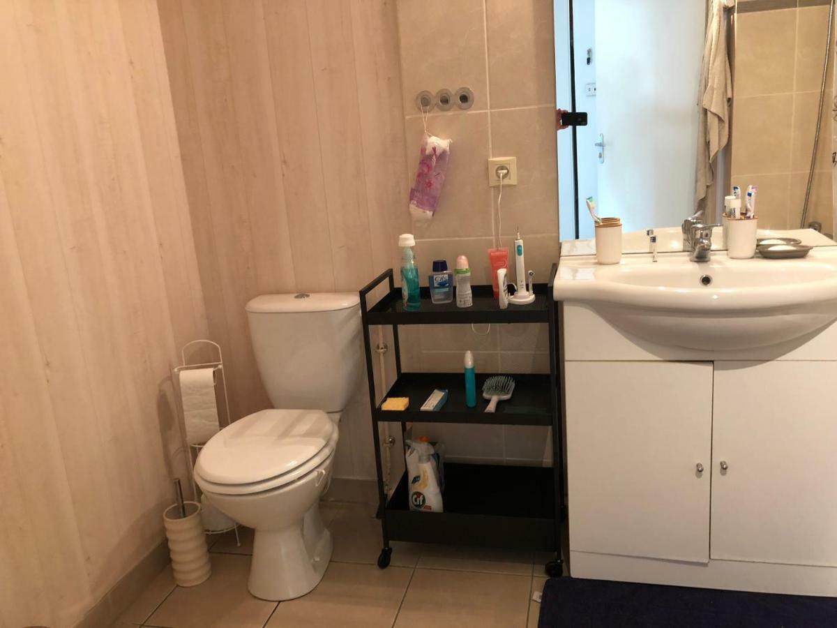 Appartement Au Milieu Des Lacs, Au Bord Du Guiers Aoste Екстер'єр фото